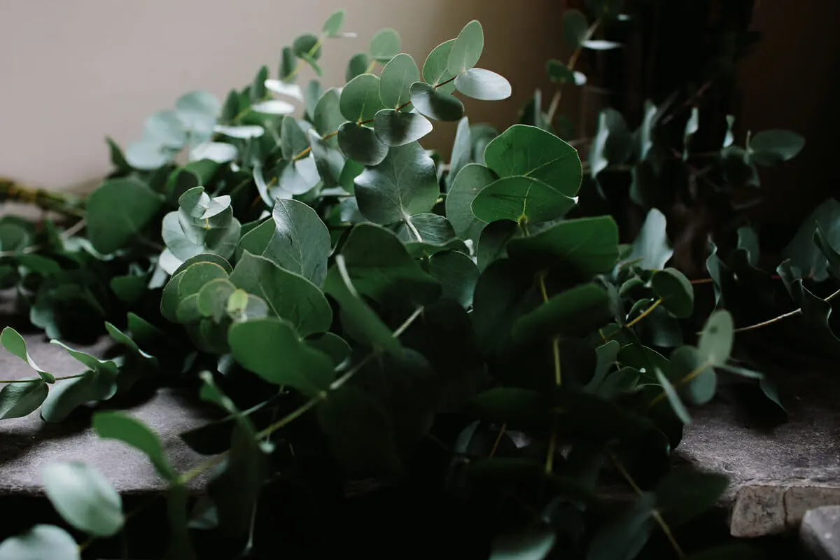 tips from oxford florist