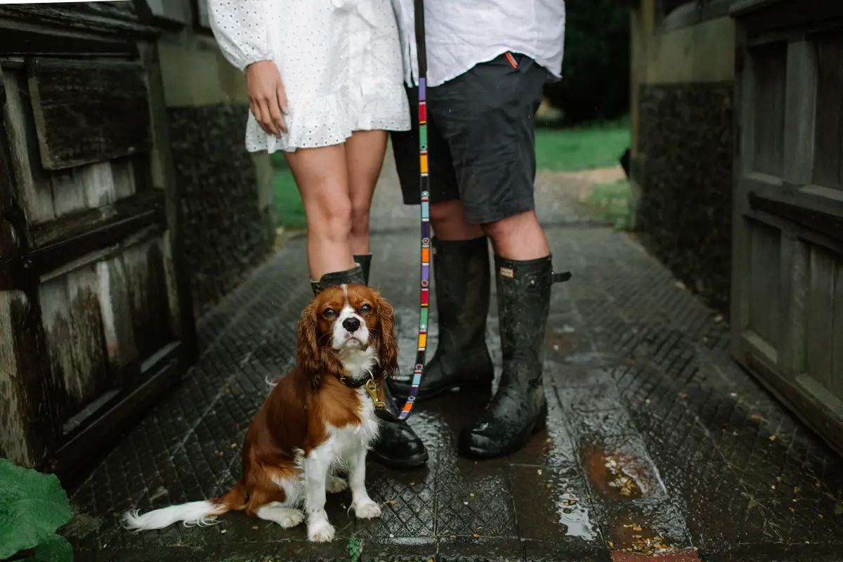 Couple in wellies standing on a wet path with their Cavalier King Charles spaniel on a rainbow lead